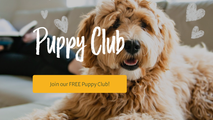 Burn Pet Free Puppy Club