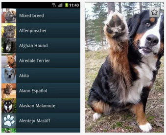 Free Dog Breed app
