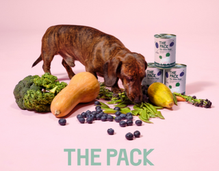 The Pack Vegan Dog Food Discount Code