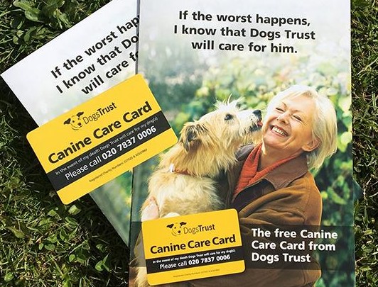 Free Dogs Trust Canine Care Card
