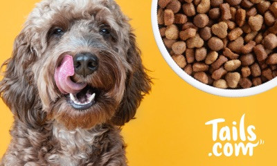 Tails.com 2 weeks free dog food + dental dailies