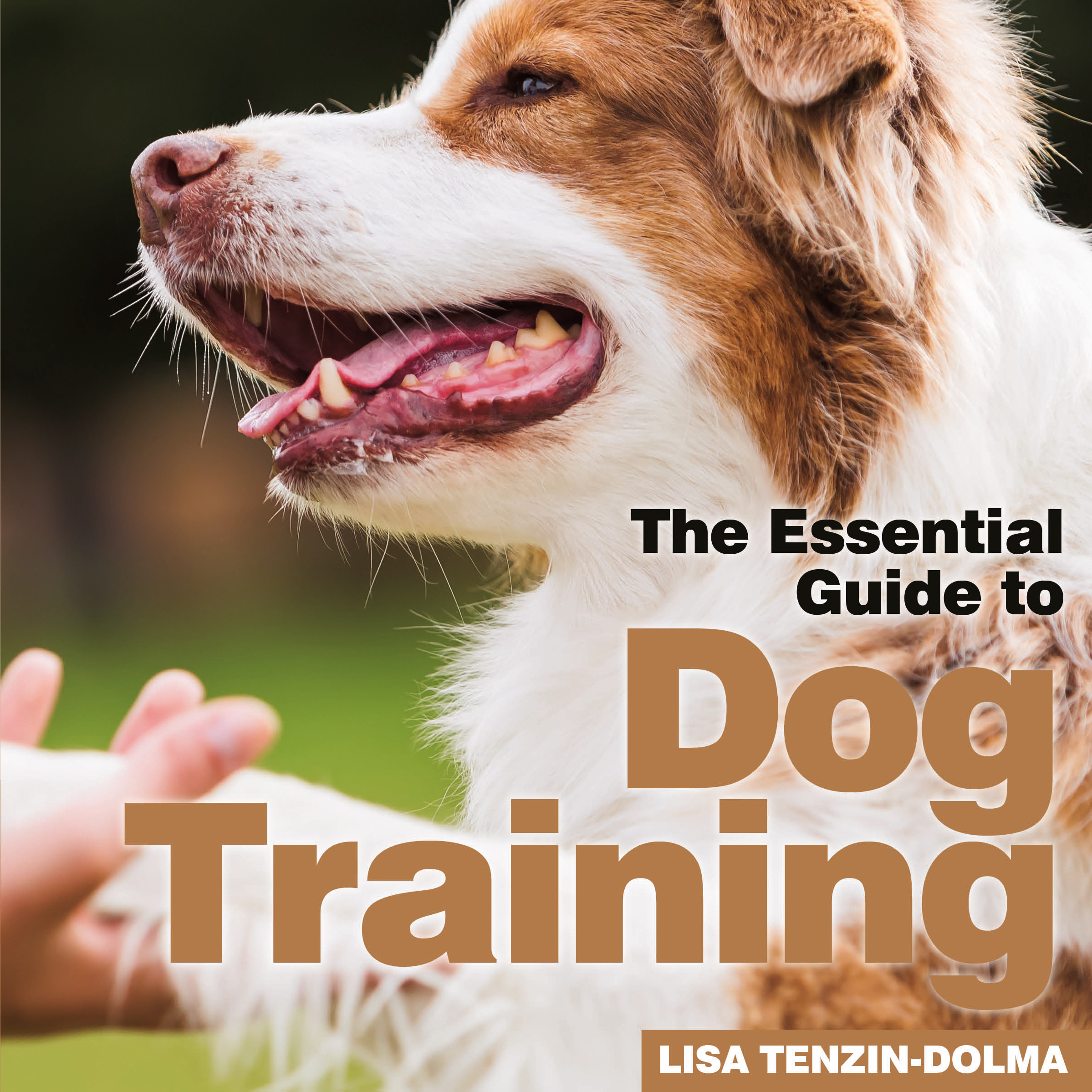 Free Essential Guide to Dog Training Book