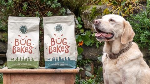 Free Bug Bakes dog food pack