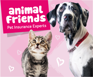 Animal Friends Pet Insurance quote
