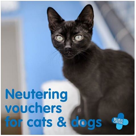 Blue Cross Free Netuering Vouchers for Cats and Dogs