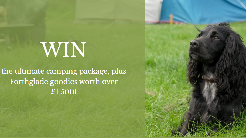 Win dog friendly camping prizes