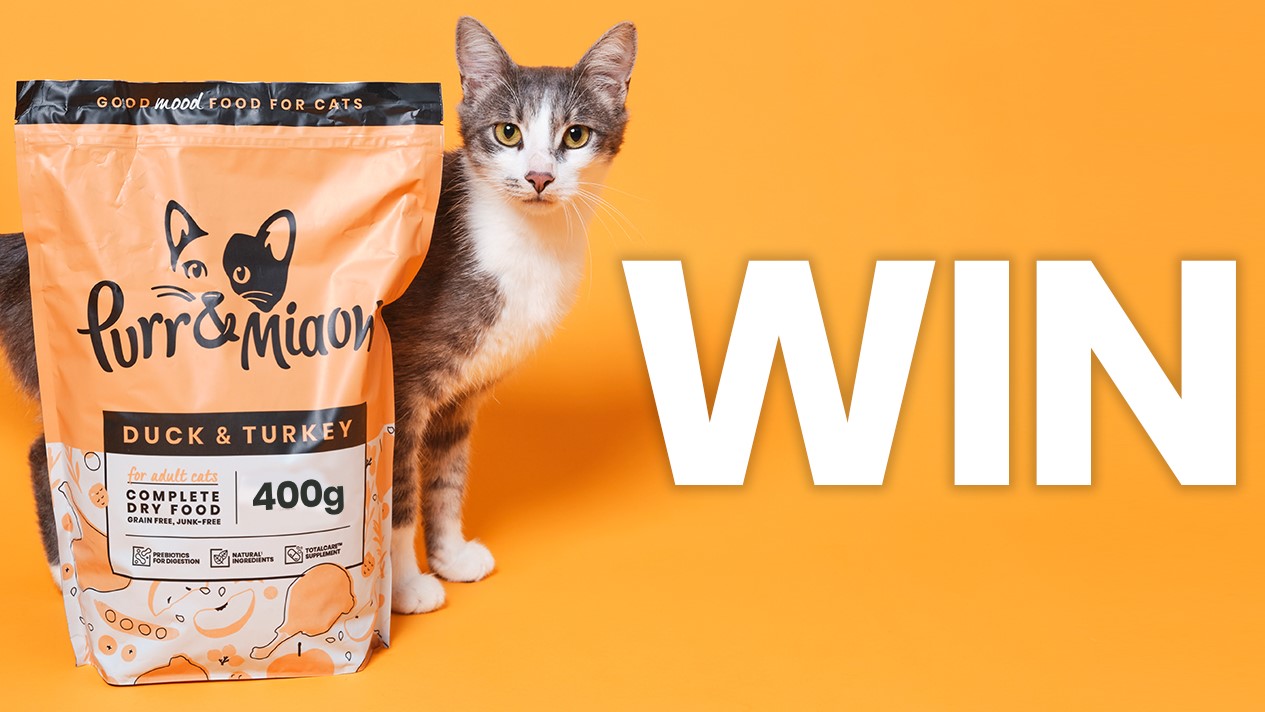 Win free Purr & Meow cat food