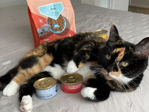 Republic of cats taster box discount code