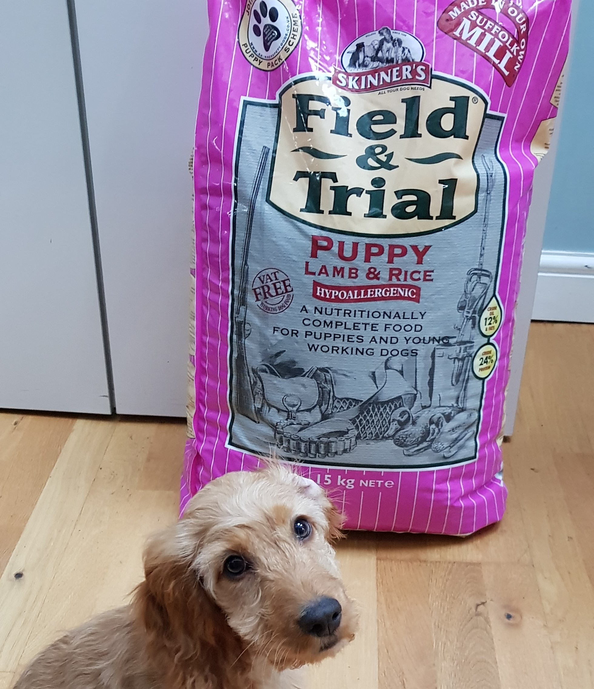 Free Skinners Field & Trial Dog Food sample