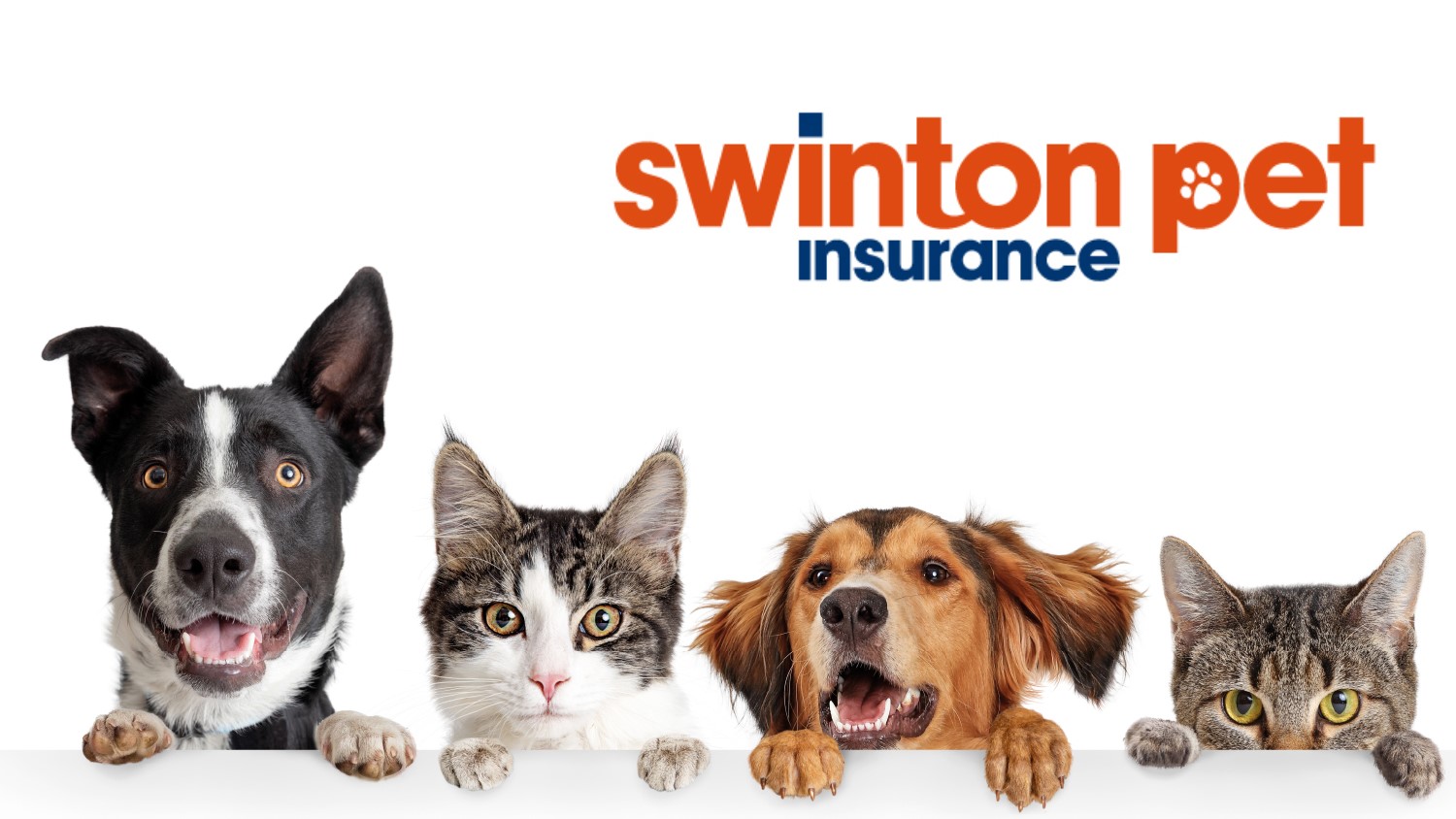 Swinton Pet Insurance Review