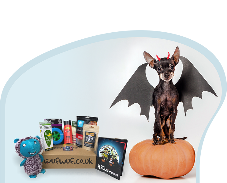 Wufwuf Halloween dog treat box discount voucher
