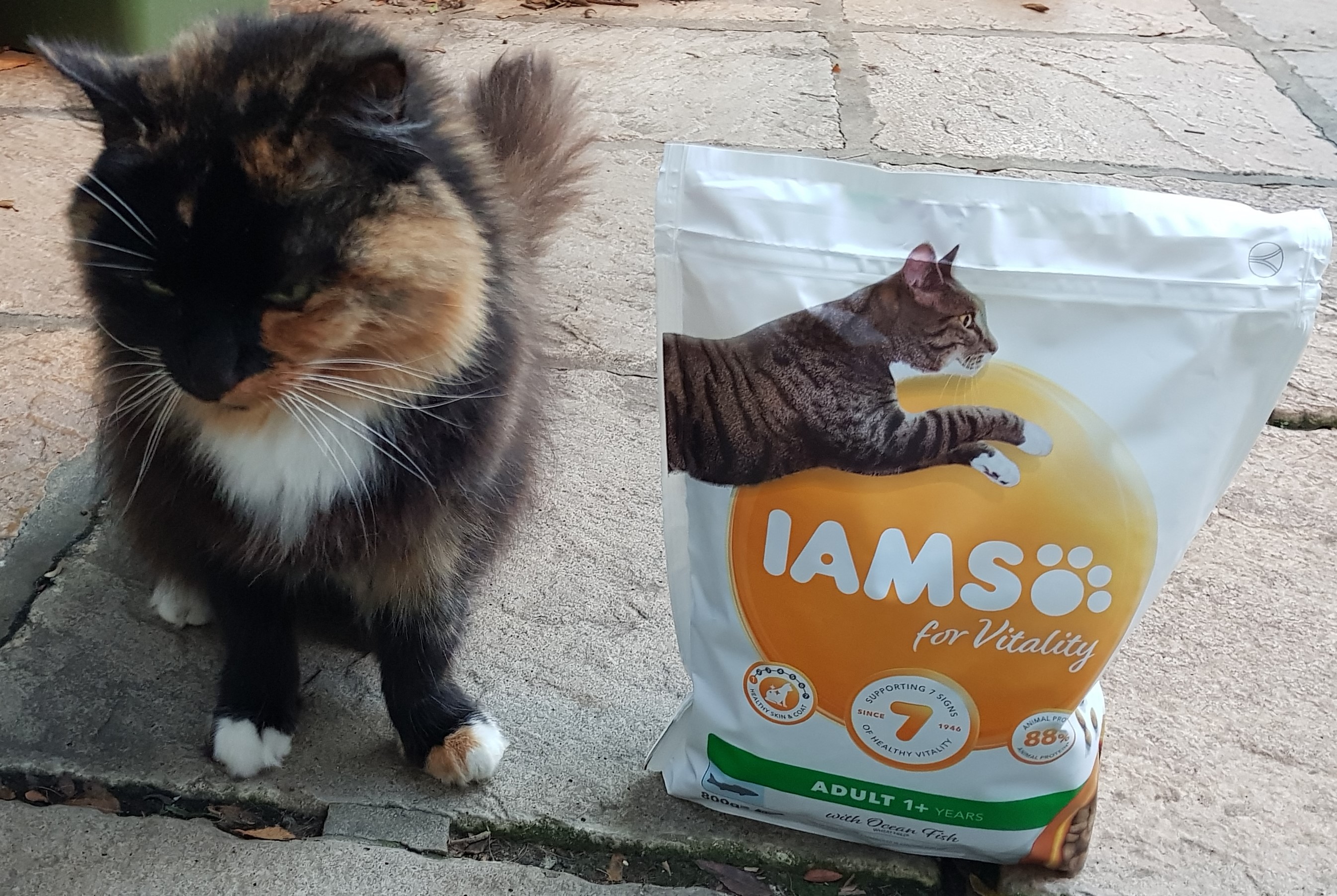 How to get free cat food samples in UK